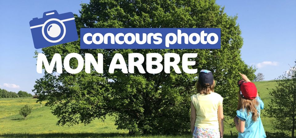 Concours photo ouvert à tous ! Partagez vos belles histoires ! - Communauté de Communes de Hanau-La Petite Pierre