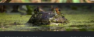 Ciné-débat sur l'architecture : 