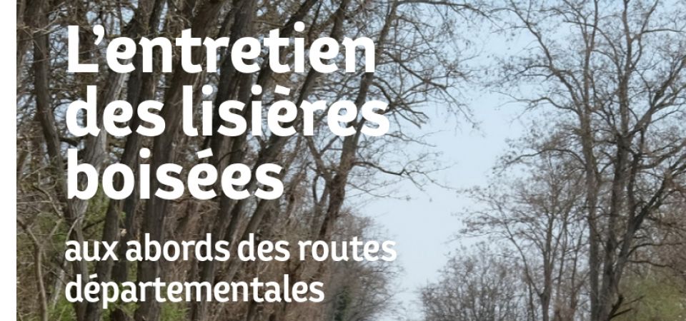 Entretien des lisières en bord de routes