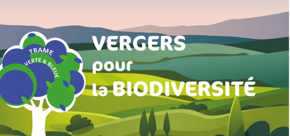 Soutien à la plantation et à l’entretien de vergers