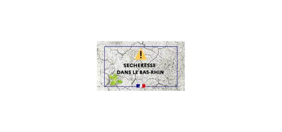 Alerte sécheresse